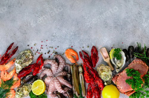 Preview: Seafood background - fresh mussels, molluscs, oysters, octopus, razor shells, shrimps, crab