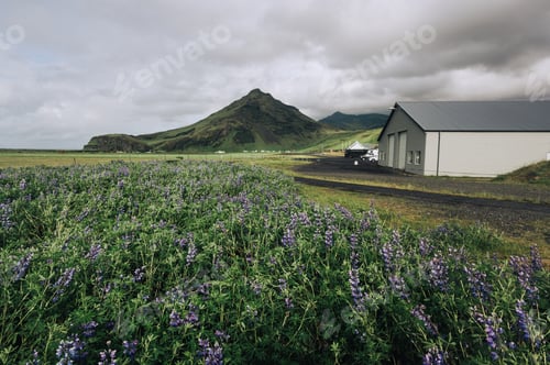 Preview: A ranch in Iceland with a stormy sky and mountain in the background.