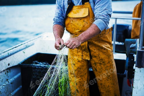 Preview: A fisherman in yellow waders on his boat holding the fishing net.