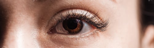 Preview: close up view of human brown eye with long eyelashes looking at camera, panoramic shot