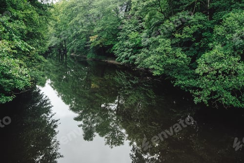 Preview: Verdant Reflections
