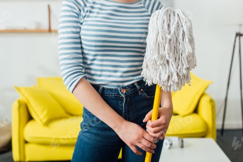 Preview: Cropped view of woman holding mop i living room