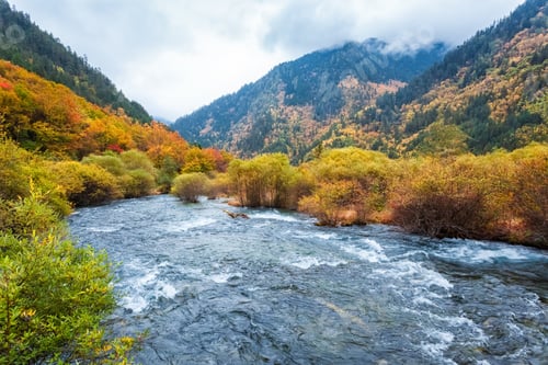 Preview: autumn forest in jiuzhaigou