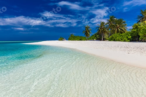 Preview: Tropical beach in Maldives with palm trees and vibrant lagoon