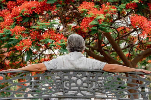 Preview: Back view of older woman sitting relaxed on park bench admiring flowering trees.