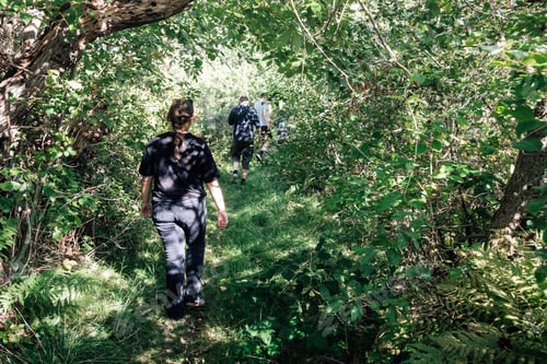 Preview: Forest Path Walk