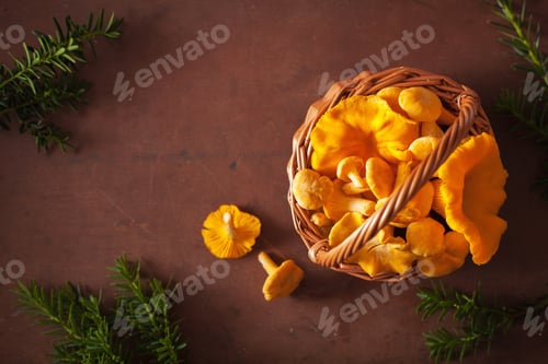 Preview: raw fresh chanterelle mushrooms flat lay on dark background