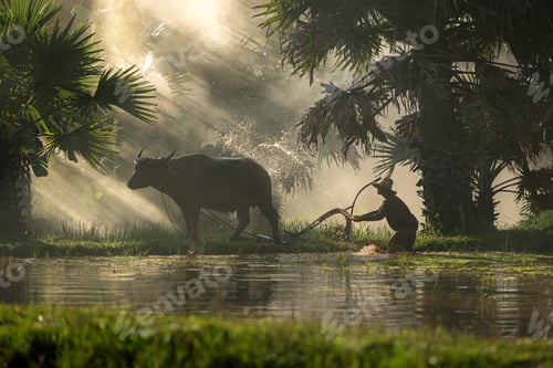 Preview: Farmers and their lifestyle of rice farming based on the seasons