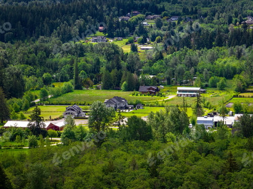 Preview: High angle view of beautiful houses in the forest