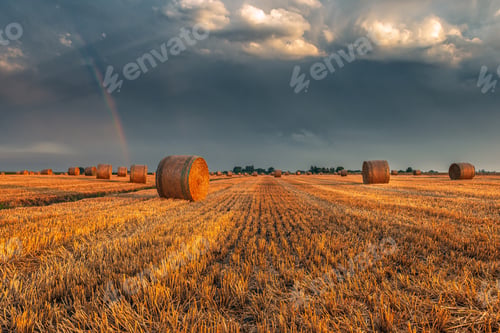 Preview: Bales of hay under the rainbow