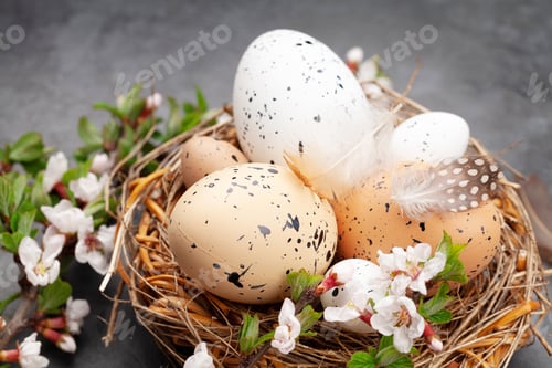 Preview: Easter eggs and cherry blossom