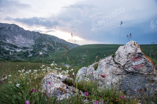 Preview: summer landscape panoramic view on a cloudy day in the valley mountains