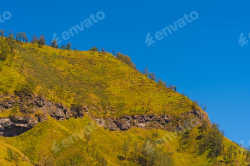 Preview: Mountains. Bromo Savanna Green Hill in the national park, East Java, Indonesia. Nature landscape