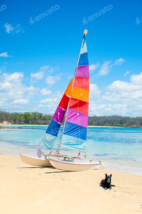 Preview: Sailing boat with colorful sail on sandy beach near the ocean bay. Black dog laying on the sand.