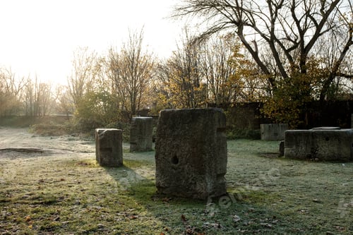 Preview: Sunlight illuminating concrete blocks in middlesex filter beds nature reserve, london