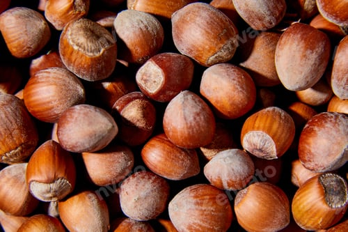 Preview: Flat lay macro Fresh hazelnut harvest, top view, close up