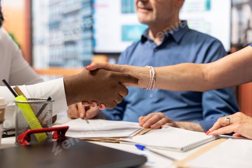 Preview: Financial advisor sharing a handshake with mature woman during a meeting