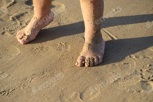 Preview: Feet of a baby covered with wet sand in the sandy beach