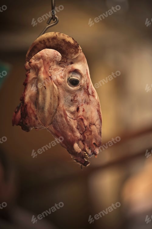 Preview: goat head hanging, close up