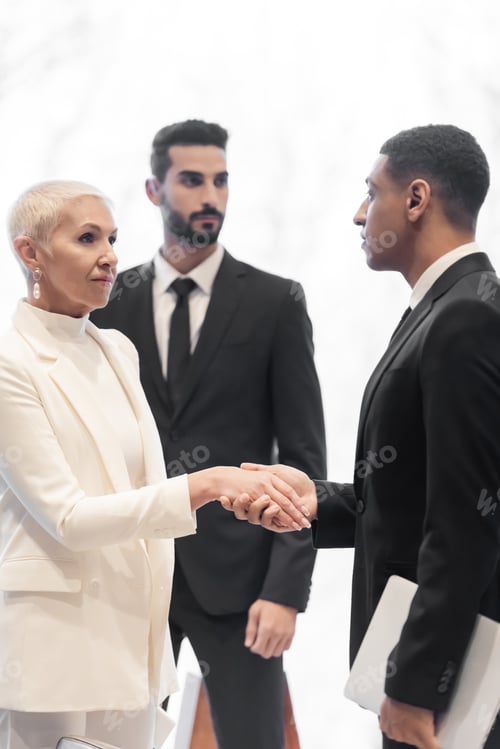 Preview: stylish senior businesswoman shaking hands with african american security man near mixed race