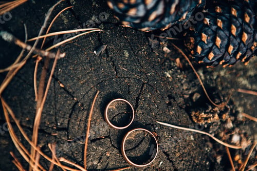 Preview: Wedding rings