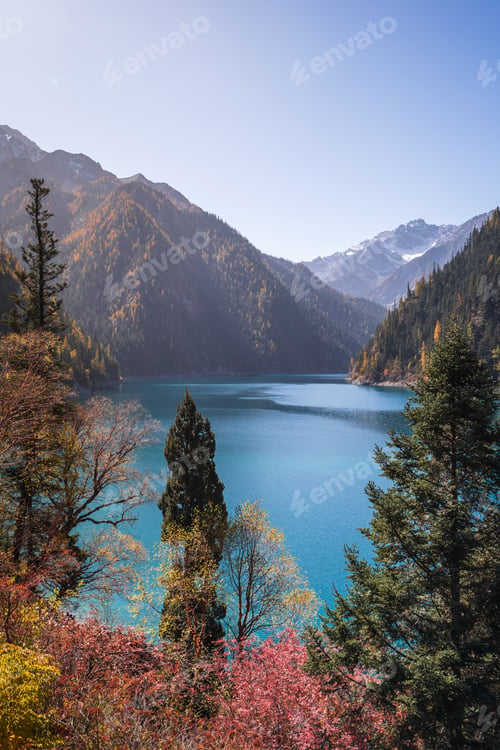 Preview: Beautiful colorful autumn leaves and nature scenic view of Long Lake in Jiuzhaigou national park