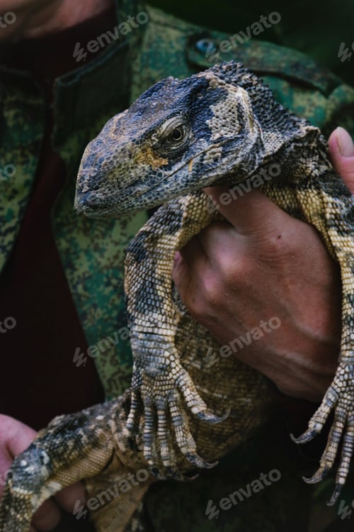 Preview: Nature zoomed in