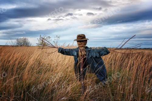 Preview: The scarecrow in the wheat field