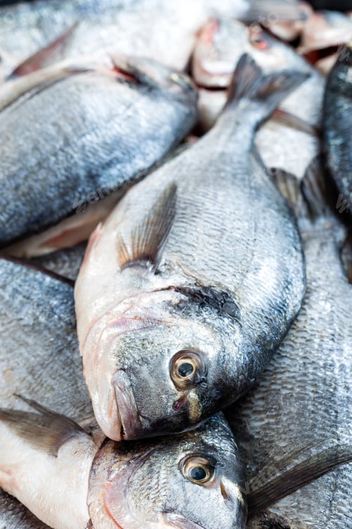 Preview: Fish. Fresh sea bream. Raw dorado fish