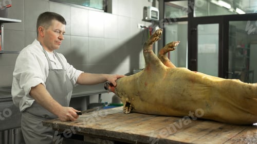 Preview: Adult Male Butcher Working on Pig Carcass