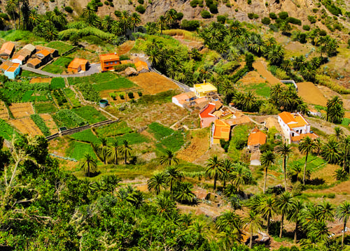 Preview: Alojera on Gomera