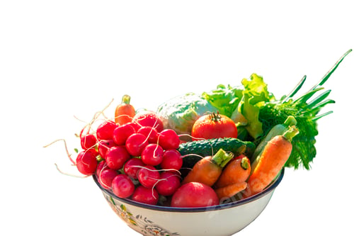 Preview: Vegetables in the garden harvest. Selective focus.