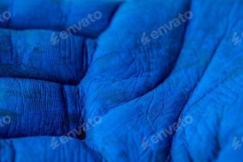 Preview: Closeup shot of a blue-painted hand