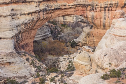 Preview: Natural bridges