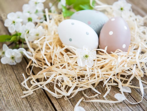 Three Easter Eggs with Flowers in a Nest
