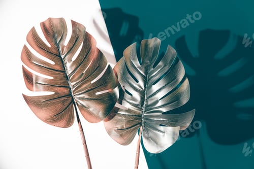 Preview: Creative, modern background with tropical leaves