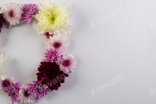 Preview: White, pink and purple flowers forming circle and copy space on white background