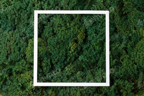 Preview: White frame on green moss natural background. Flat lay, copy space.