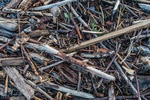 Preview: A Closeup Shot Of A Pile Of Driftwood.