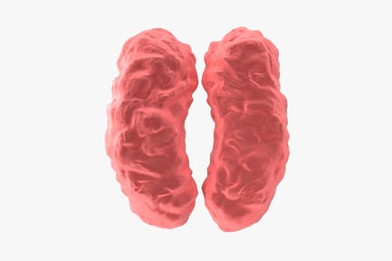 Visualização: Formas ovais sobrepostas