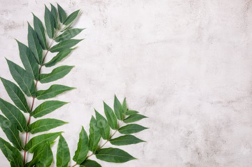 Preview: grassy foliage on textured backgound.