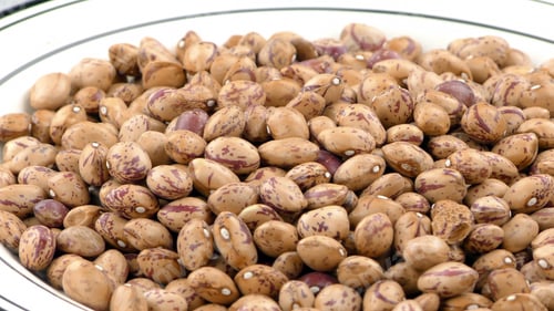 Preview: Healthy Vegetarian Raw Food Legumes