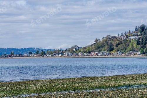 Preview: A View Of Waterfront Homes Along Three Tree Point In Burien, Washington.