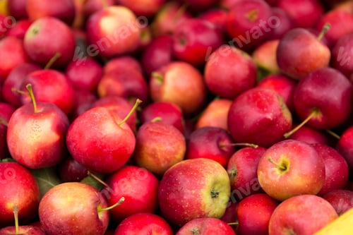 Preview: Red apple