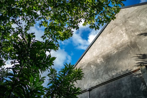 Preview: House's roof or gable with blue sky and tree, concept of outside exterior