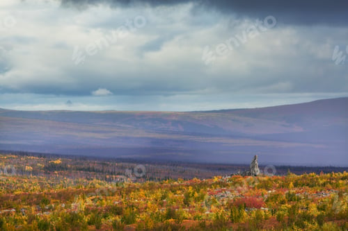 Preview: Autumn in polar tundra