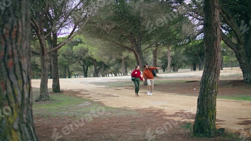 Preview: Two hikers walking forest path looking woodland nature. Couple strolling on park