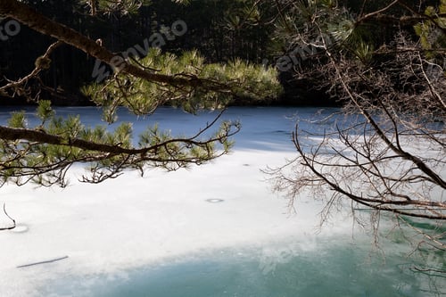Preview: view of a mountain lake surrounded by bushes and trees in autumn