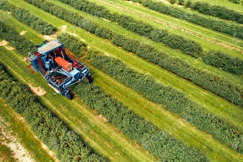 Preview: Modern machinery harvesting crops on vast farmland, demonstrating efficient farming