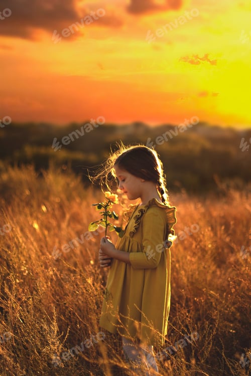 Preview: A little girl in a yellow dress sniffs a yellow rose against the sunset